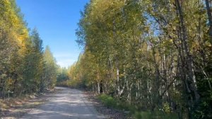 Истоптали мои ноги Карельские дороги