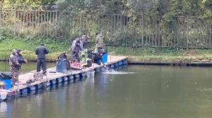 Переходной.Форель