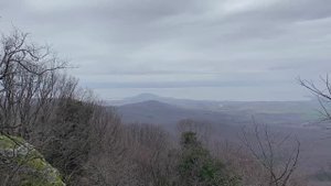 И СКУЧНО, и ГРУСТНО...