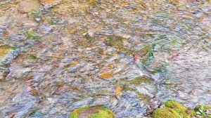 Словенские ключи