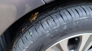 Видеообзор продаваемого автомобиля Honda Freed Spike.