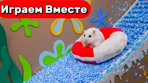 ЛАБИРИНТ ИЗ МУЛЬТИКА ГУБКА БОБ ДЛЯ УМНОГО ХОМЯКА 🐹 ВИДЕО ПРО ХОМЯКА ДЛЯ ДЕТЕЙ