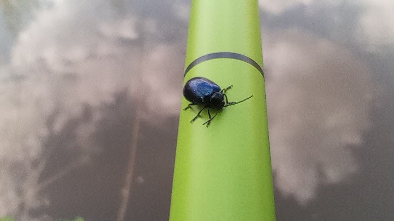 В поисках голавля. Рыбалка на поплавок. смотреть онлайн