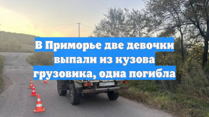 В Приморье две девочки выпали из кузова грузовика, одна погибла