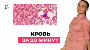 Кровь за 20 минут