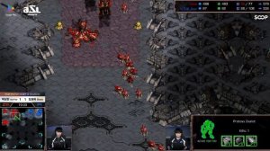 ASL 20 Ro8 soma vs Best Game 3 Старкрафт | Starcraft