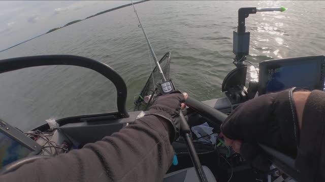 Судак с коряжки на Panoptix смотреть онлайн