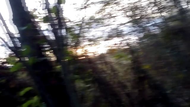 НА СЕКРЕТНОМ БОЛТЕ УТКИ НЕТ ЖДЁМ СЕВЕРНУЮ