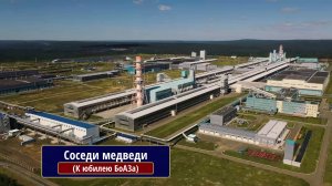 Соседи медведи. (К юбилею БоАЗа)