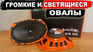 Громкие светящиеся овалы в заднюю полку! DL Audio Barracuda 69 SE