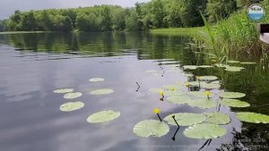 2024_06_07-09 - Первое клубное путешествие на озеро Долгое (Беларусь)