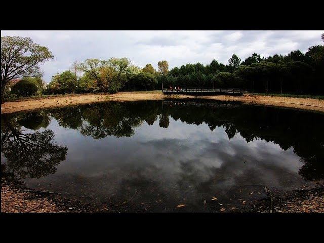 МОРМЫШИНГ В Поисках Рыбы. Разведали Пруды в КУСКОВО.#мормышинг #fishing #рыбалкавмоскве смотреть онлайн