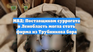 МВД: Поставщиком суррогата в Ленобласть могла стать фирма из Трубникова бора