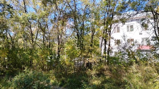 481. Хабаровск. Адмиральская 8а - Авроры 14. 29.09.25.