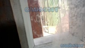 Красногоровка, архив, как мы выживали при Украине.