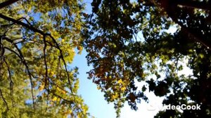 Леонид Агутин и Анжелика Варум - Как не думать о тебе