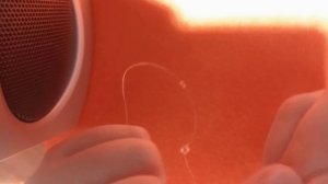 VID20250929171417.mp4