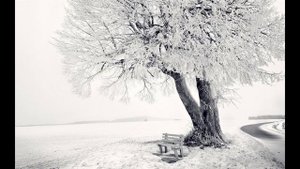 Жестокий жаргон (Suno AI)