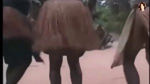 Хто нэ скаче...