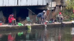 Поимка Форели.Мост