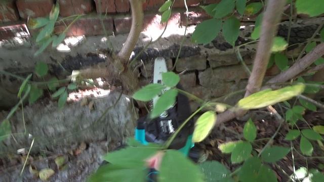 Сучкорез и Секатор Макита