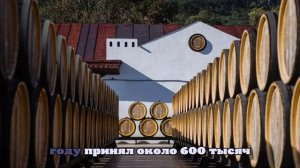 Более 1 млн туристов ежегодно посещают винодельни Краснодарского края