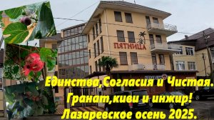 Сувенир нашли! Изменения на набережной Псезуассе и Тормахова. Любят отдыхать в чистоте но гадят!