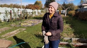 Лук под зиму. 27-09-2025