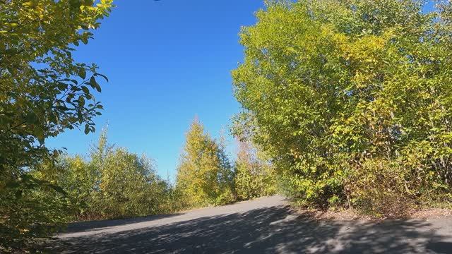 Крематоровый покотух GH013829