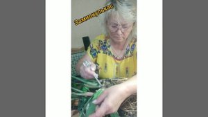 Замиокулькас и зигокактус