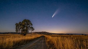 Неизвестный волосатый объект упал с неба на ферму в Аргентине