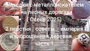Находки с металлоискателем на лесных дорогах Осень 2025 ( часть 1)