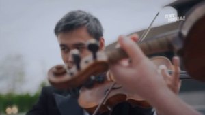 Thunder Strings Quartet (Клава Кока)