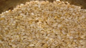 Кутья из перловки
