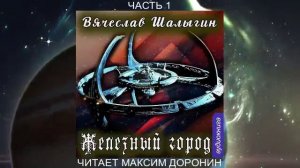 03.03 Вячеслав Шалыгин "Преображенские" (книга 3) "Железный город" (часть 3)