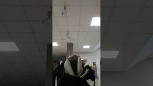 идём домой