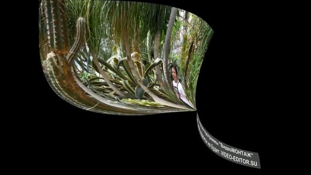 Парк Монтедор в Крыму, Никитский ботанический сад смотреть онлайн