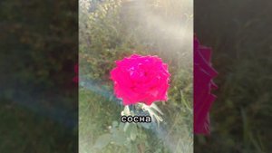 Узнай себя за 10 секунд😉