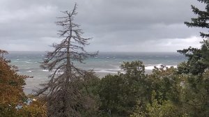 VID_20250918_153223