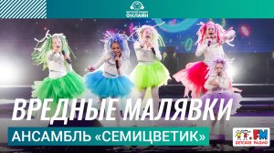 Ансамбль «Семицветик» - Вредные Малявки (Дискотека Детского радио 2025)