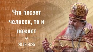 Что посеет человек, то и пожнет. Проповедь о. Андрея Лемешонка 28 сентября (Воскресенье) 2025 г.