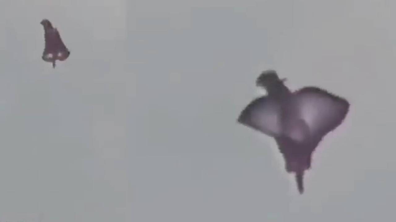 ЧТО ЭТО???👽👽👽ЖИВЫЕ НЛО. 😱Биологические НЕОПОЗНАННЫЕ ОБЪЕКТЫ в НАШЕМ НЕБЕ. Подборка. смотреть онлайн