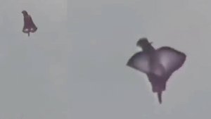 ЧТО ЭТО???👽👽👽ЖИВЫЕ НЛО. 😱Биологические НЕОПОЗНАННЫЕ ОБЪЕКТЫ в НАШЕМ НЕБЕ. Подборка.