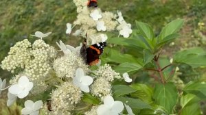 Доброе утро. Красоты не бывает много, правда?