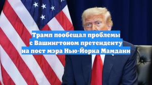 Трамп пообещал проблемы с Вашингтоном претенденту на пост мэра Нью-Йорка Мамдани
