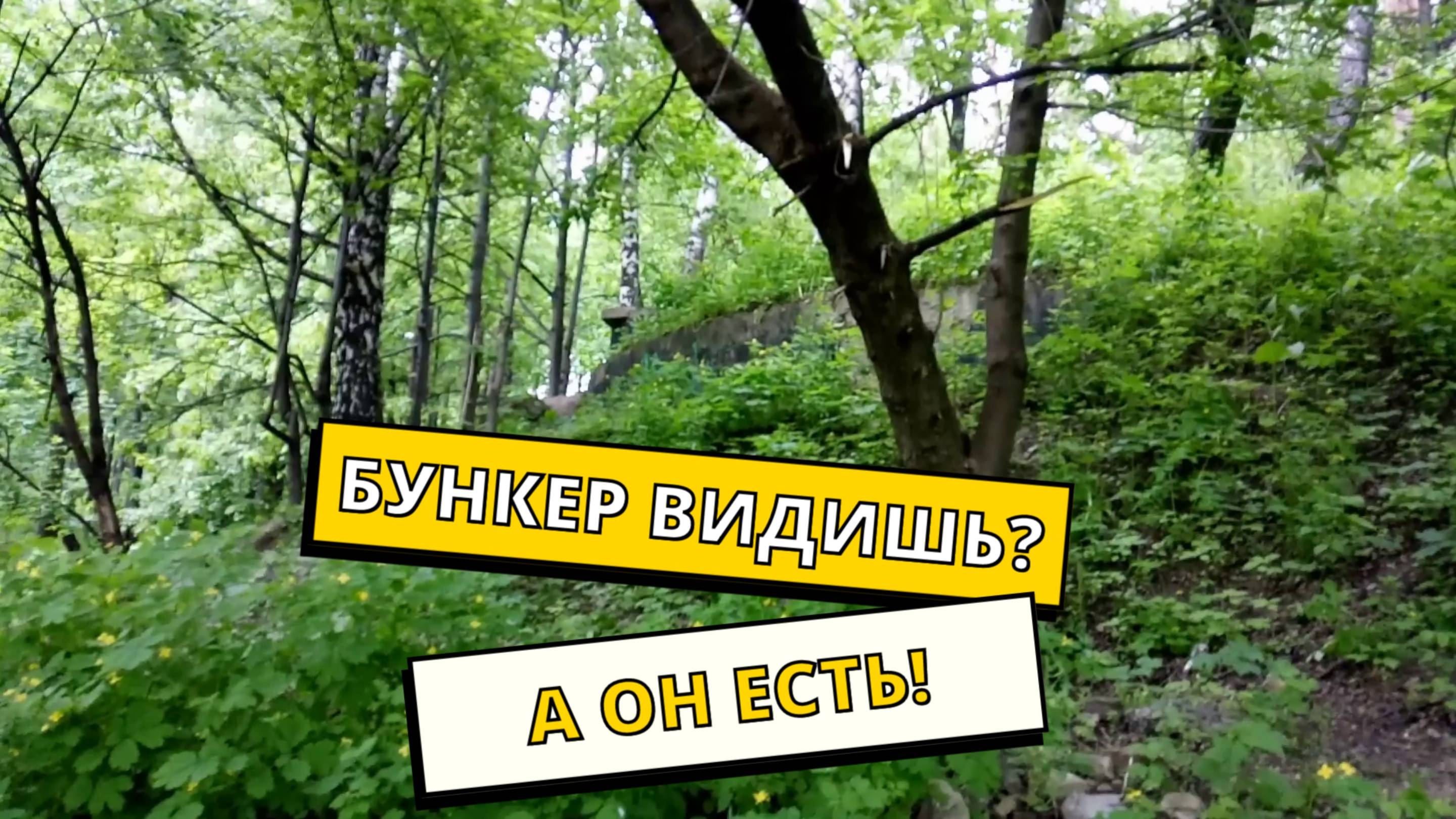 Нашли БУНКЕРЫ времен войны - парк Тимохово