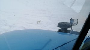 Работа на севере