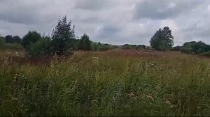 Земельный участок 50:18:0060416:703