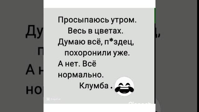 Юмор