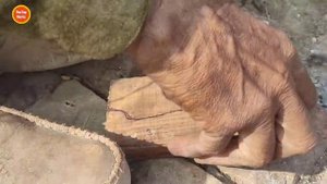 Из напильника напильник в острый нож